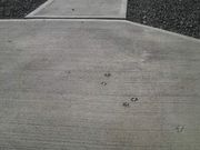 ���Ƃ��񂳂�̒q�����̓��e�ʐ^3