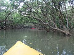 b񂳂̃}O[uJk[c[Oւ̓eʐ^1