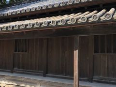 cinnamon����̓��S�ԏ��ւ̓��e�ʐ^1