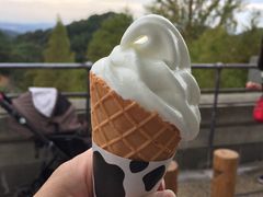 �䂫�Ȃ���̘Z�b�RQ�EB�EB�`�[�Y�قւ̓��e�ʐ^1