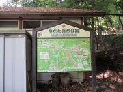 ߋT|~̂ȂR̓eʐ^1