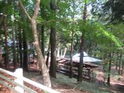 ߋT|~̂ȂR̓eʐ^3