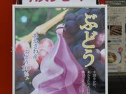 Ƃ񂳂̎YZ^[ ̓eʐ^3