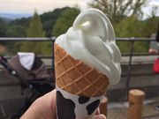 䂫Ȃ̘ZbRQEBEB`[Yق̓eʐ^1