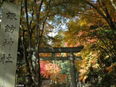 諏訪神社の写真一覧 - じゃらんnet