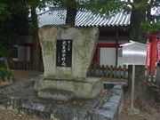 �g�V���[����̑吳�Ք��˔V�n��̓��e�ʐ^1