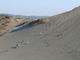 つねさんの砂山への投稿写真3