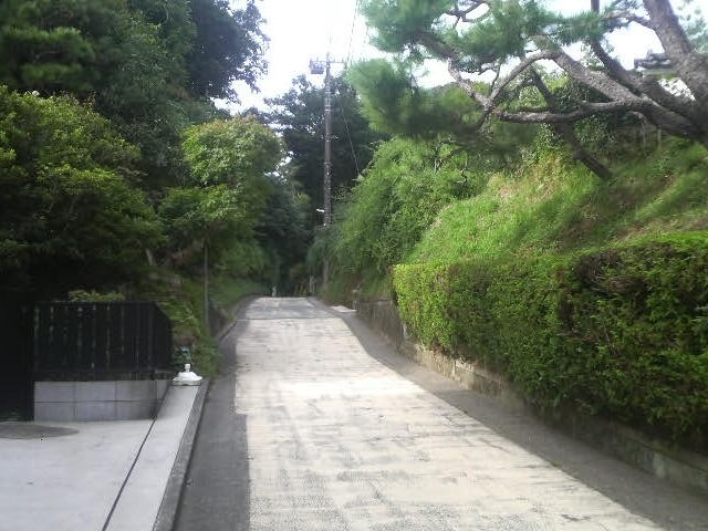 �T���J��ؒʂ�_�T���J��ؒʂ�