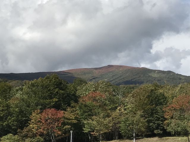 ���ԏ�̌������ɖ]�ތI��R_�n�C���U�[���I��