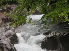 Yanwenlỉnւ̓eʐ^2