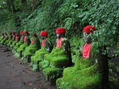 Yanwenlỉnւ̓eʐ^6