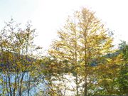 �Ƃ�����񂳂�̊ۏ��̍g�t�̓��e�ʐ^4