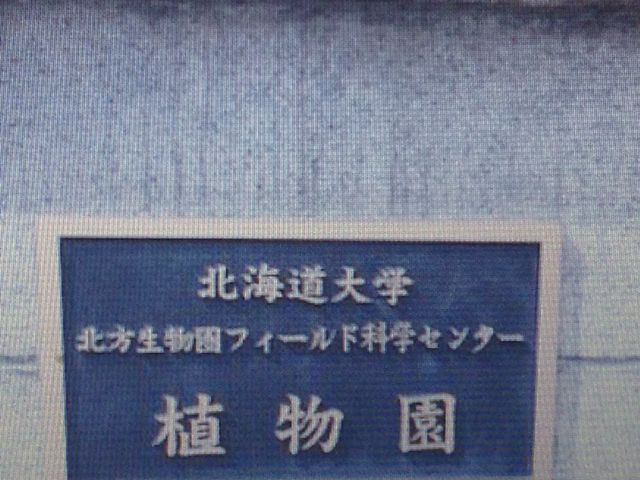 �A����_�k�C����w�A����