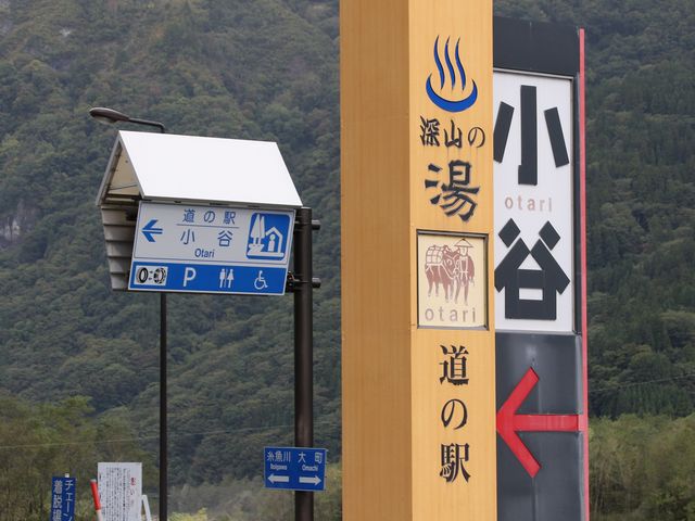 ���H���Ŕ�_�[�R�̓�