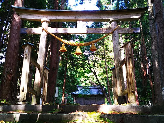 ����_���R�_��