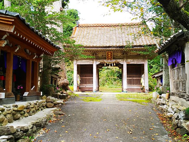 �����̎R��@���̉E�オ���R�_�Ђł�_���R�_��