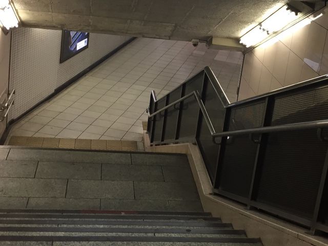 �������g���̉w_����w