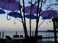 LCɒ@|iCIV̏h@@앗O̎ʐ^1