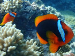 akköɗǕEnւ̓eʐ^1