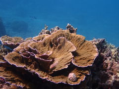 akköɗǕEnւ̓eʐ^2