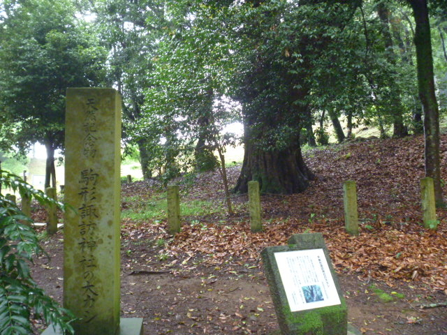 gV[̋`zK_Ђ̑JV̓eʐ^1