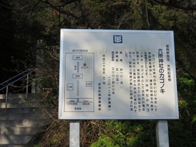 �Z���_�Ђ̃J�S�m�L_�Z���_�Ђ̃J�S�m�L