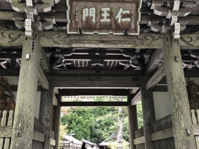 ���F�x����暎�_���F�R���W�]��