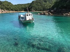 かっくんさんの竜串～見残し往復　竜串グラスボート(たつくし海中観光)の投稿写真1