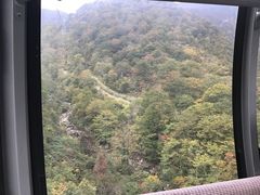 񂹂A _CGbgłB̒Jxbz by 샊][gւ̓eʐ^1