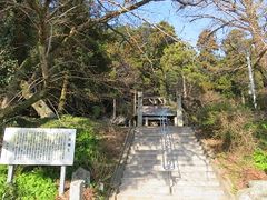 キヨさんの六所神社のカゴノキの投稿写真2