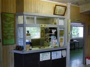 �Ðh�F����̂c���D�R�g�[�f�Ï��̓��e�ʐ^5