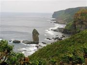 �Ðh�F����̗��_��W�]��̓��e�ʐ^4