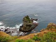 �Ðh�F����̗��_��W�]��̓��e�ʐ^5