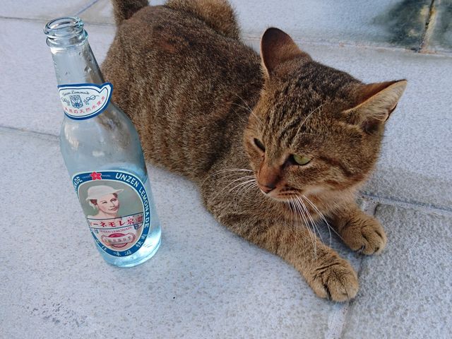 lɂ񂿂񂪊ĂĂꂽBLOɃpVB__n