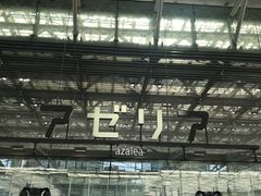 ݂񂳂̃A[Aւ̓eʐ^1