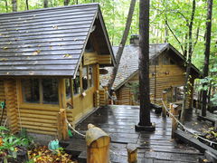 jsb.wam̃VbsO[hujOeXvւ̓eʐ^1