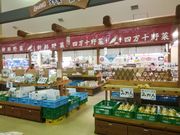 Eg}̕YكTo[l\̓eʐ^2