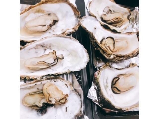 �N�[�|���P���ŉ��y�R��_���{�C�����ȊX