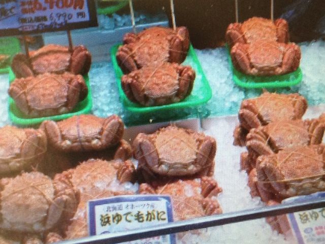 �C�Y��_���������s���O�s��