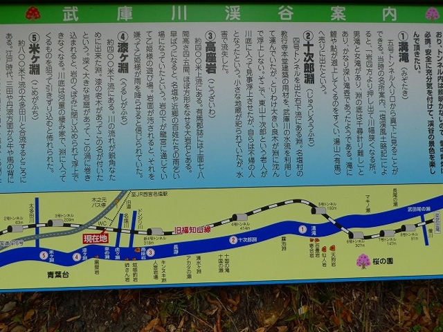 ���Ɍ����{�s�E�i�q���m�R���p���~ ���ɐ�k�J�ē�_�i�q���m�R���p����