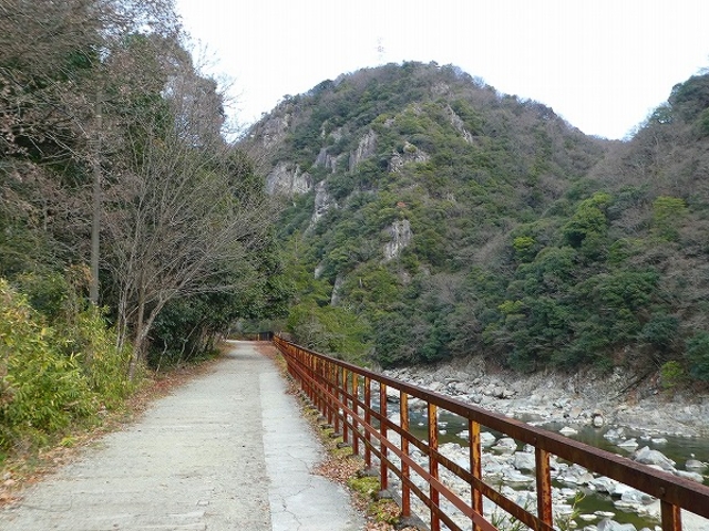 ���Ɍ����{�s�E�i�q���m�R���p���~_�i�q���m�R���p����