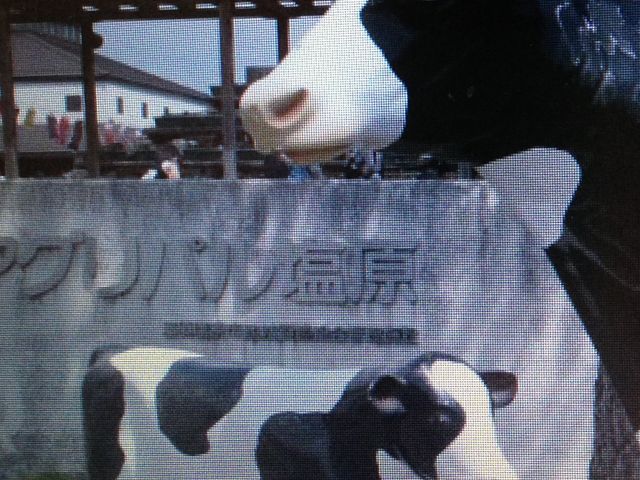 ���̉w_���̉w ���̍������΂�