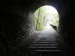 �}�b�N����̂i�q���m�R���p���Ղւ̓��e�ʐ^1