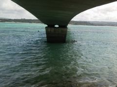 ݂񂳂̌ÉFr[`ւ̓eʐ^1