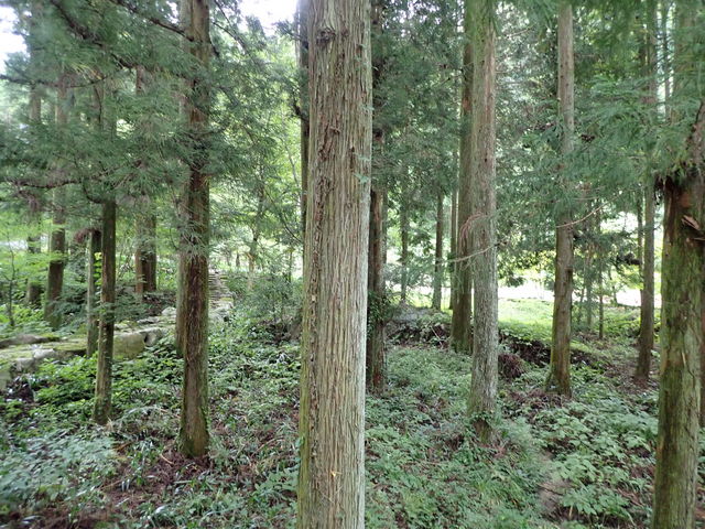 }CanňbߎREFXg̓eʐ^1