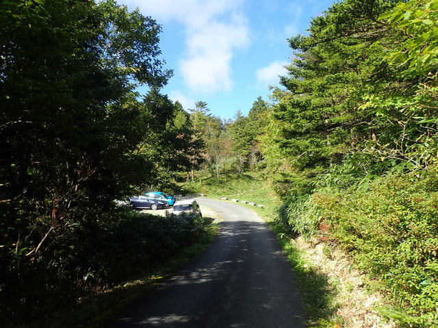 }Cann̐_⓻Ղ̓eʐ^1