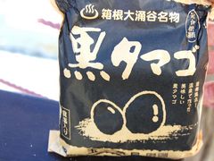 �~�V�F������̋ʎq�����ւ̓��e�ʐ^1