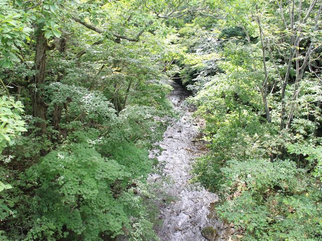 �p���P�̎u����_�쒹�̋�