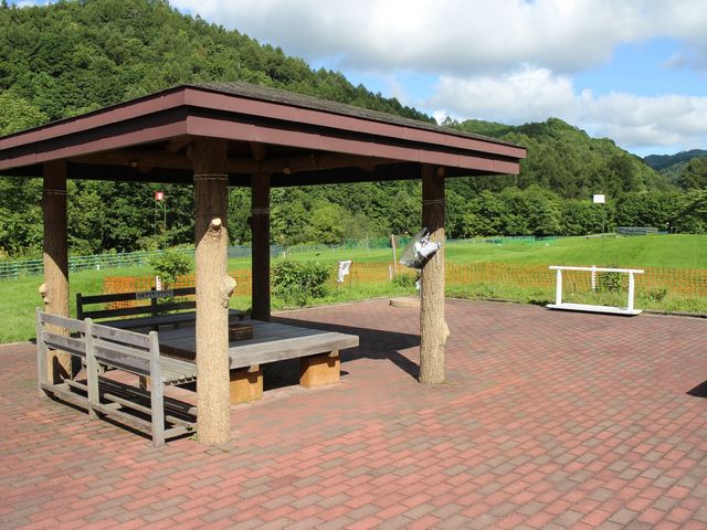 ����_����p�[�N�S���t��