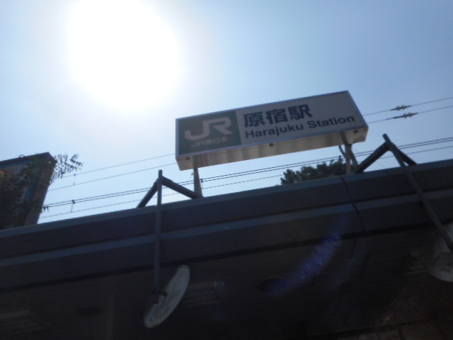 �w_�i�q���h�w